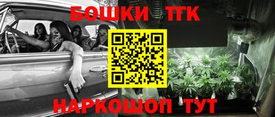 скорость Лесосибирск