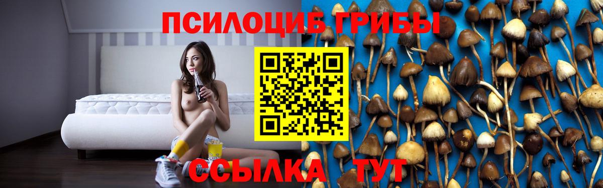 Псилоцибиновые грибы прущие грибы  Вход с VPN  Галлюциногенные грибы ЛСД  Татарск 